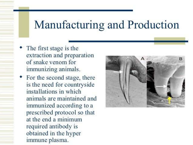 snake milking requirements snake milker wikipedia